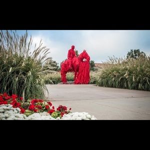 Meet your Posher, Renaldo